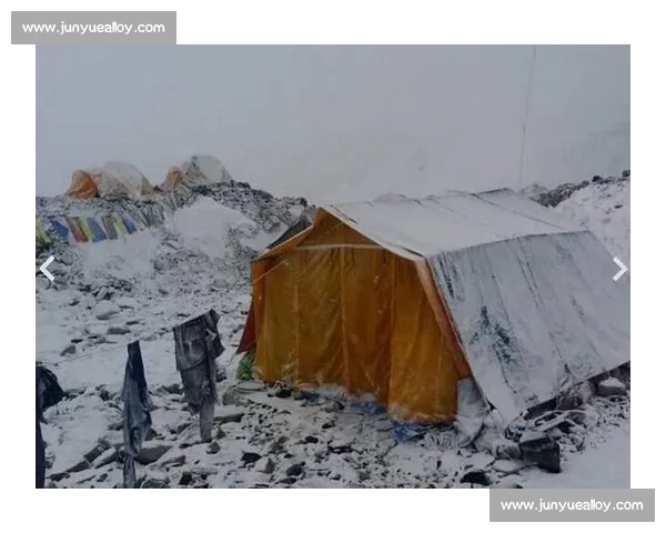 地震突袭深山营地后伐木工人绝境求生与人性抉择全记录 地震突袭深山营地后伐木工人绝境求生与人性抉择全记录